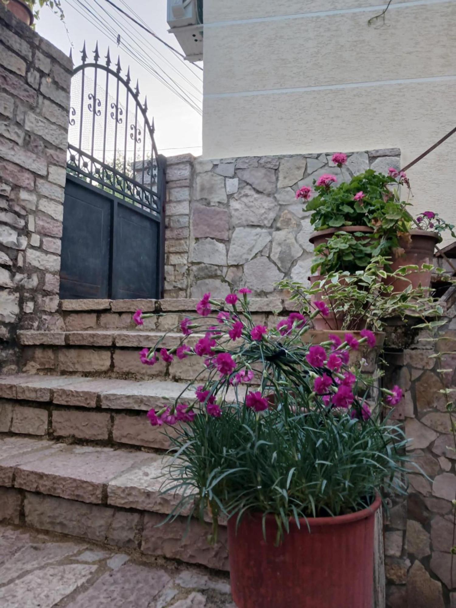 Eniguesthouse Gjirokastër Eksteriør billede